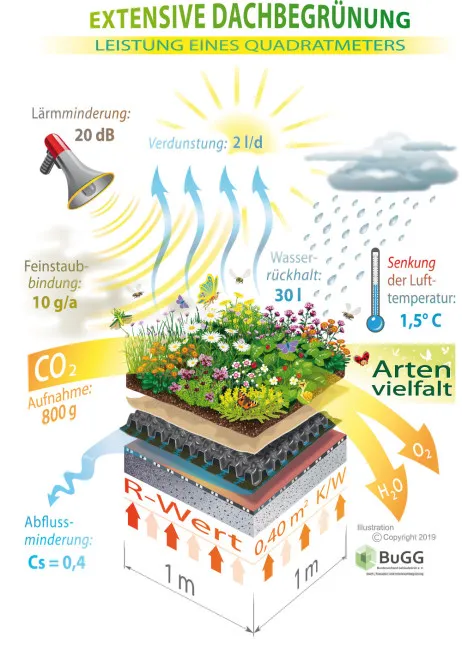 Grafik Vorteile Dachbegrünung
