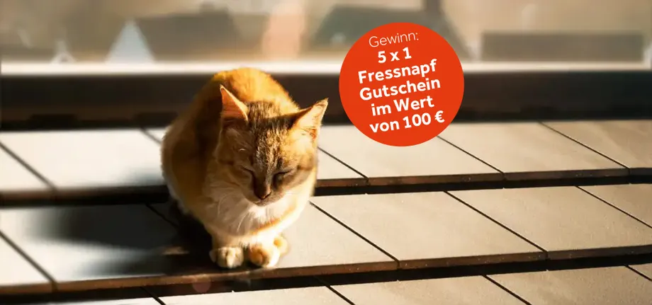 Katze auf einem Dach, eingedeckt mit dem Tegalit Aerlox von Braas.