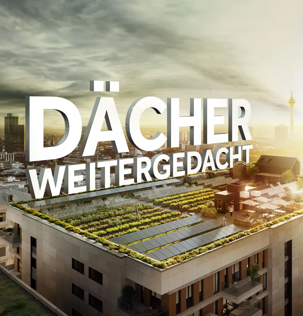Dachentdecker Flachdach mit vielfältiger Nutzung