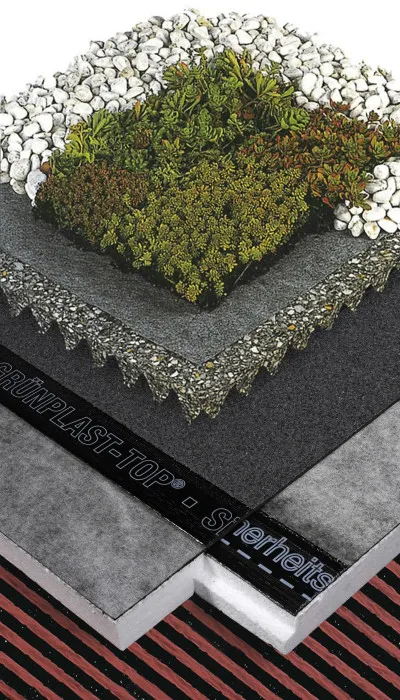 Foto-2 Gründach-Aufbau