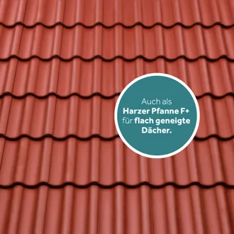 Harzer Pfanne.