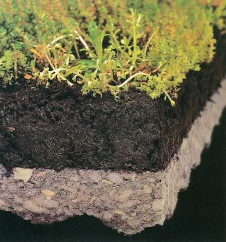 icoflor Begrünungssystem Aufbau