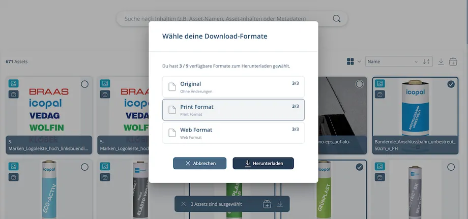 Ansicht der Mediendatenbank für die ausgewählten Dateien und Änderungsmöglichkeit des Formats.