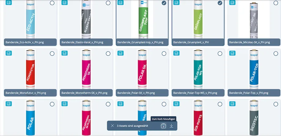 Screenshot der Mediendatenbank zur Auswahl einer Datei