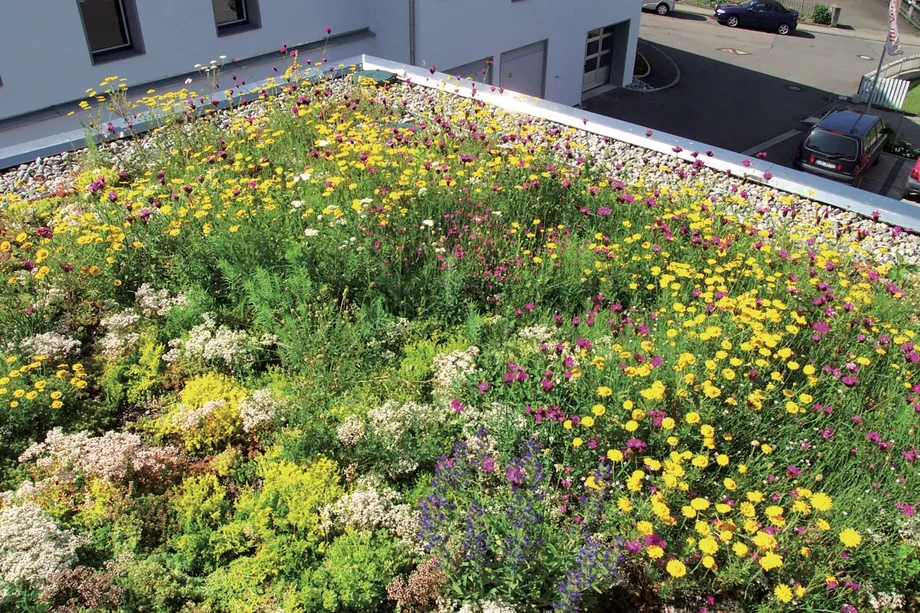 Gründach mit Vedag Set E18