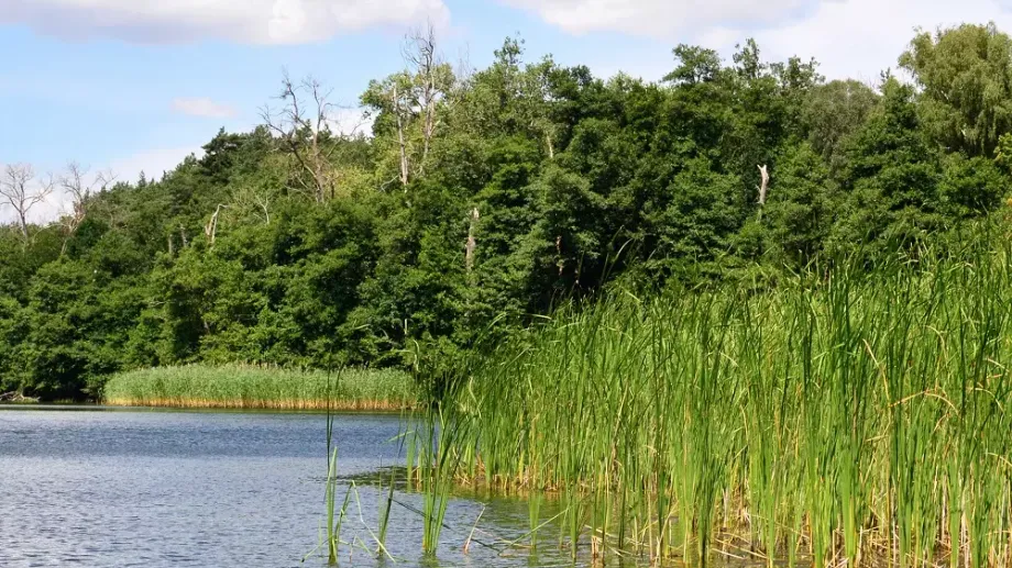 Nachhaltigkeit mit BMI: Naturnaher See.
