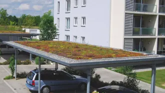 Perfekt geeignet für die Begrünung einer Garage oder Carports