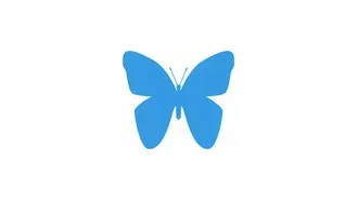 Icon Schoenheit