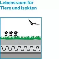 lebensraum-fuer-tiere-und-insekten v2