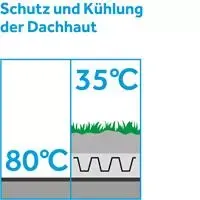 schutz-und-kuehlung-der-dachhaut v2